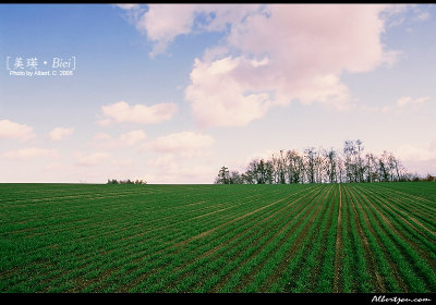 hokkaido_009.jpg
