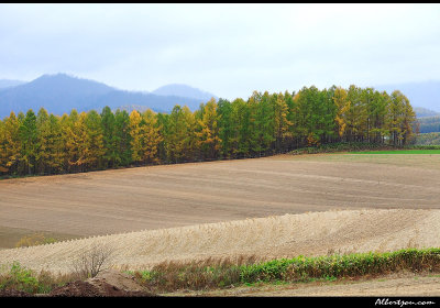 hokkaido_079.jpg