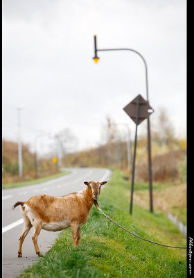 hokkaido_083.jpg