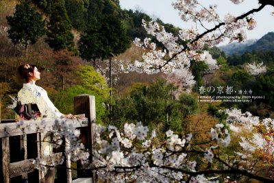kyoto_026.jpg