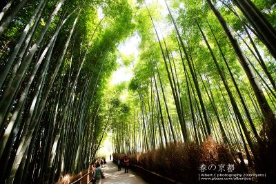 kyoto_172.jpg