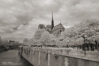 paris_078.jpg