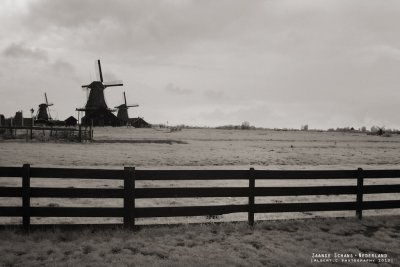 nederland_040.jpg