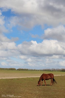 nederland_064.jpg