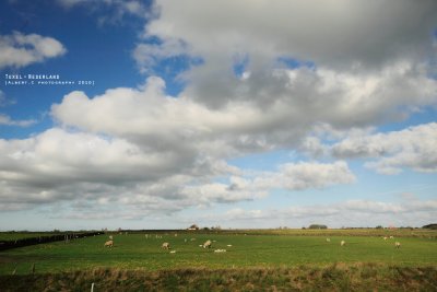 nederland_068.jpg