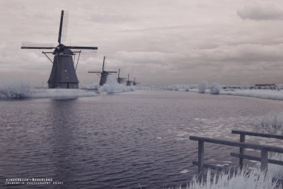 nederland_156.jpg