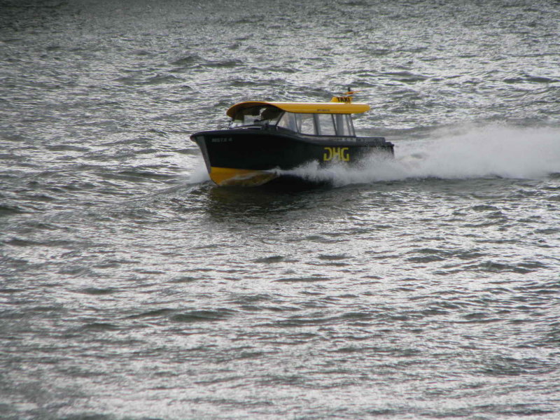 IMG_7955.JPG