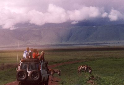 Zebra crossing