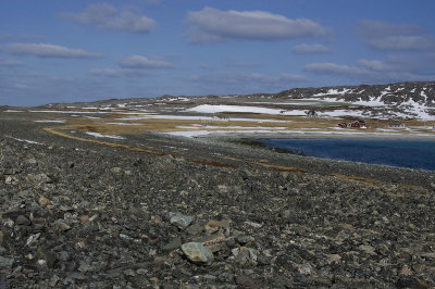 On the road to Hamningberg