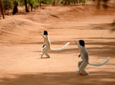 Madagascar May 2004