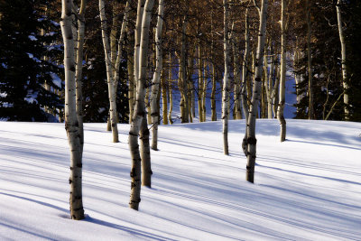 Janes-winter-landscape.jpg