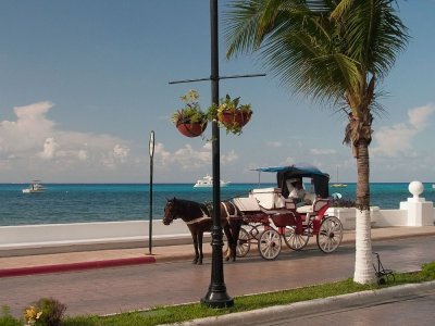 18-horse-and-buggy-at-the-waterfront.jpg