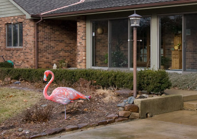 flamingo-lawn-ornament.jpg