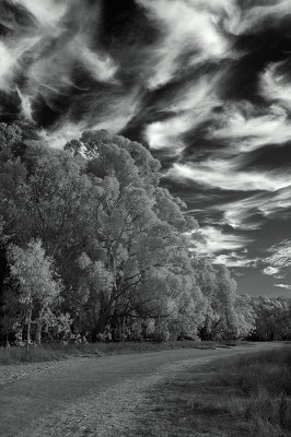 Infrared Photos