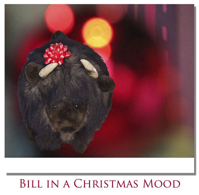 Bill in a Christmas Mood