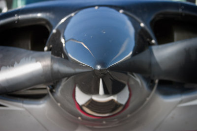 SP Friday - Spinner