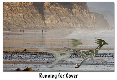 Running for Cover