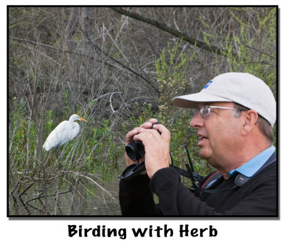 March 14:  OP Friday  - Birding with Herb