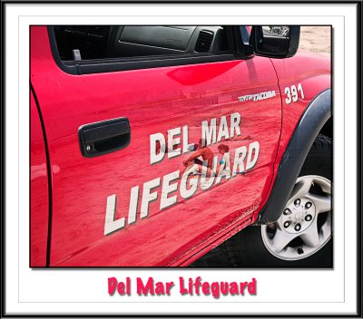 Del Mar Lifeguard