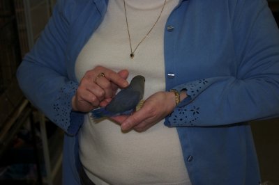 g1/33/41533/3/110337841.W0elL32U.jpg