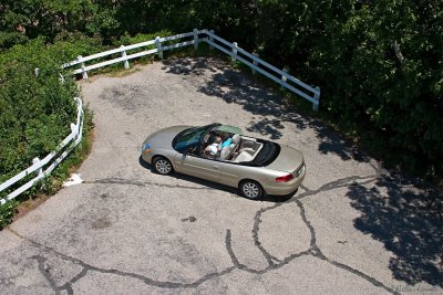 CRW_7338.jpg