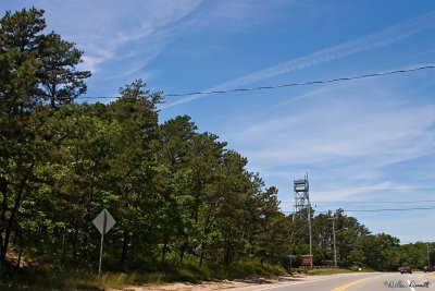 CRW_7356.jpg