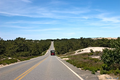 CRW_7383.jpg