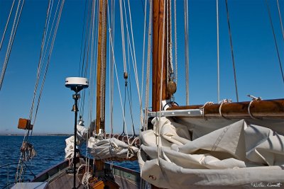CRW_7399.jpg