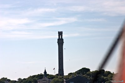 CRW_7402.jpg