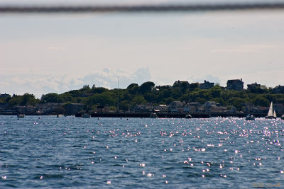 CRW_7406.jpg