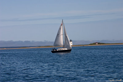CRW_7408.jpg