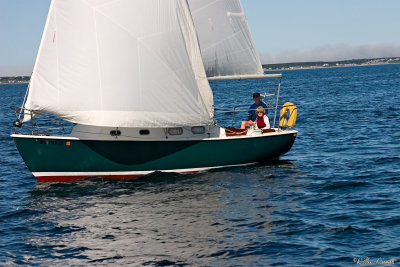 CRW_7412.jpg