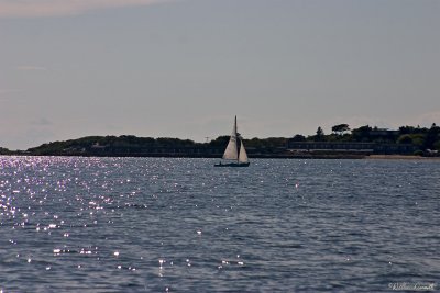CRW_7418.jpg