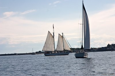 CRW_7424.jpg