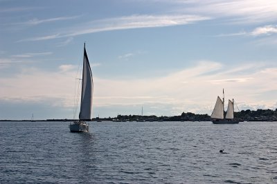 CRW_7425.jpg