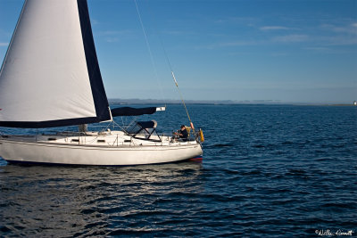 CRW_7428.jpg