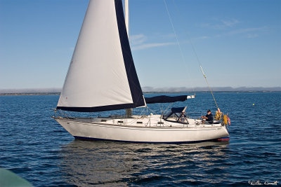 CRW_7430.jpg