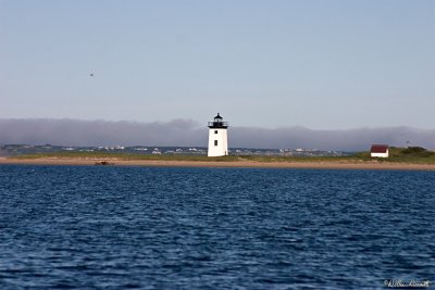 CRW_7431.jpg