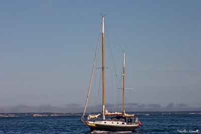 CRW_7444.jpg