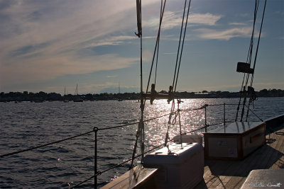 CRW_7449.jpg
