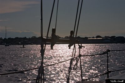 CRW_7450.jpg