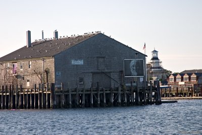 CRW_7452.jpg