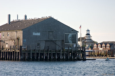 CRW_7453.jpg