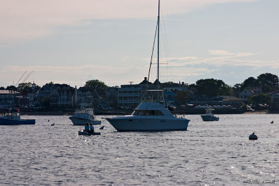 CRW_7457.jpg