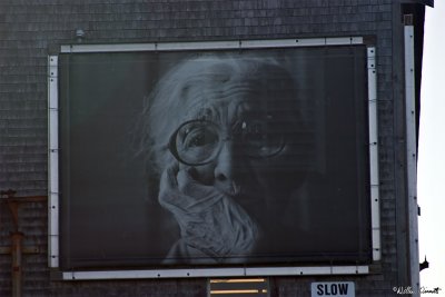 CRW_7458.jpg