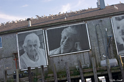 CRW_7462.jpg