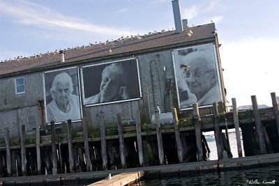 CRW_7463.jpg
