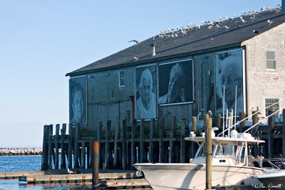 CRW_7466.jpg