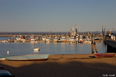 CRW_7482.jpg