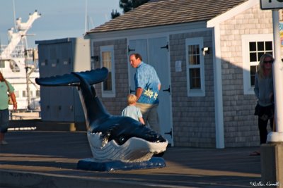 CRW_7483.jpg